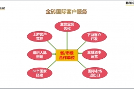 金砖国际客户服务
