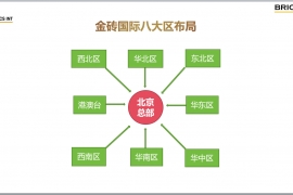 金砖国际八大区布局