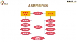 金砖国际组织架构